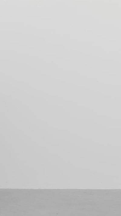 LAURIE Kelly Regular Shorts Regular 99000 Black